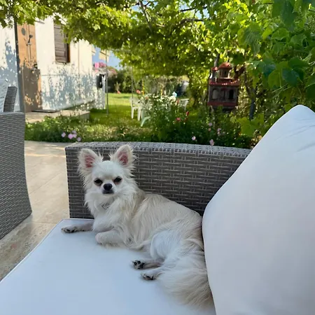 Popi Griva 4* Vurvurú