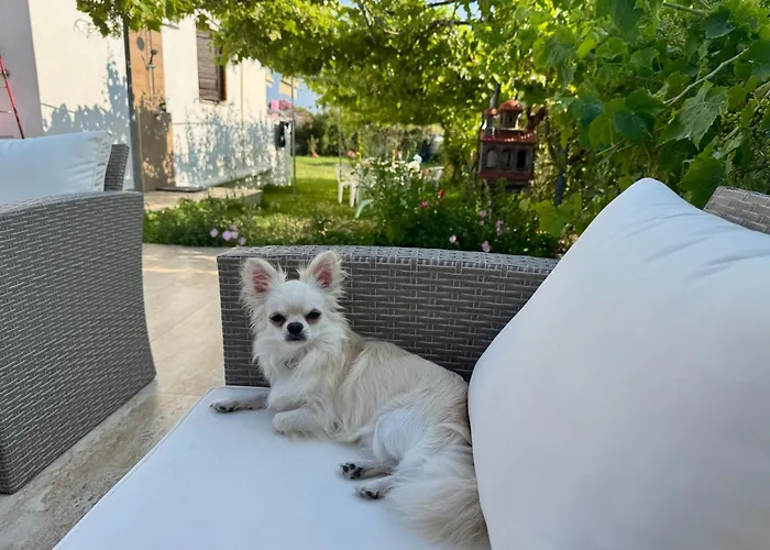 Popi Griva 4* 沃尔沃罗