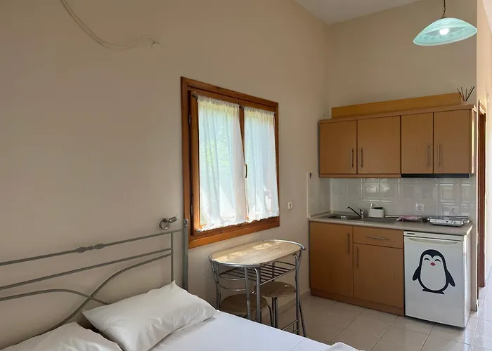 Popi Griva 沃尔沃罗