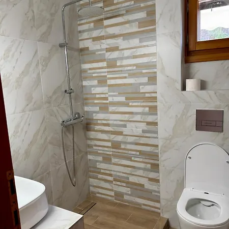 Artion
